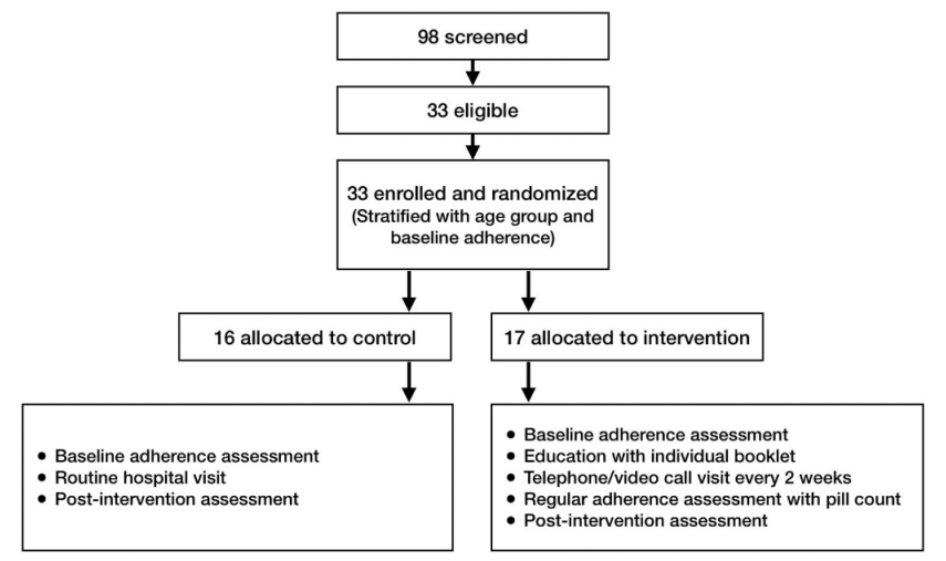 Timeline of the study procedu