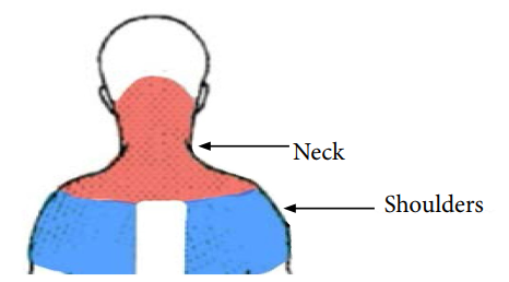 Illustration of neck and shoulders area in the online questionnaire