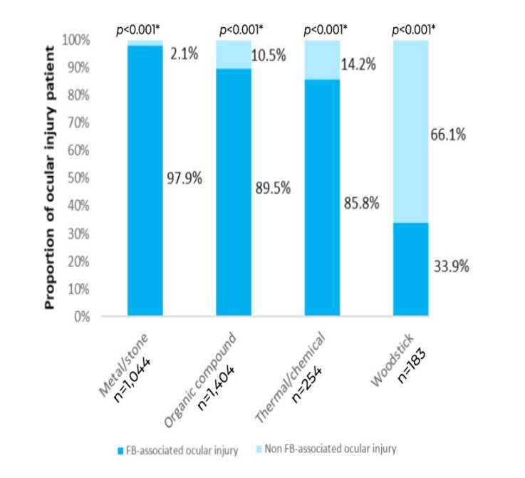 Causative objects of ocular injuries