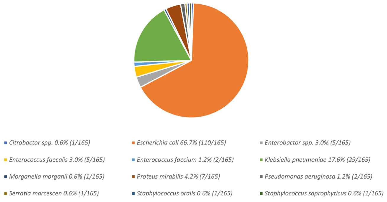 Etiology of community-acquired urinary tract infection in children